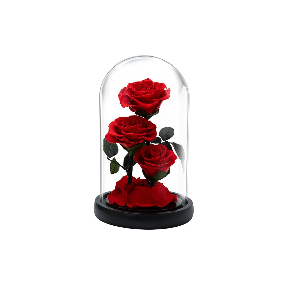 "Through Three Lifetimes, I Only Love You" Eternal Rose Flowers Gift   0cm