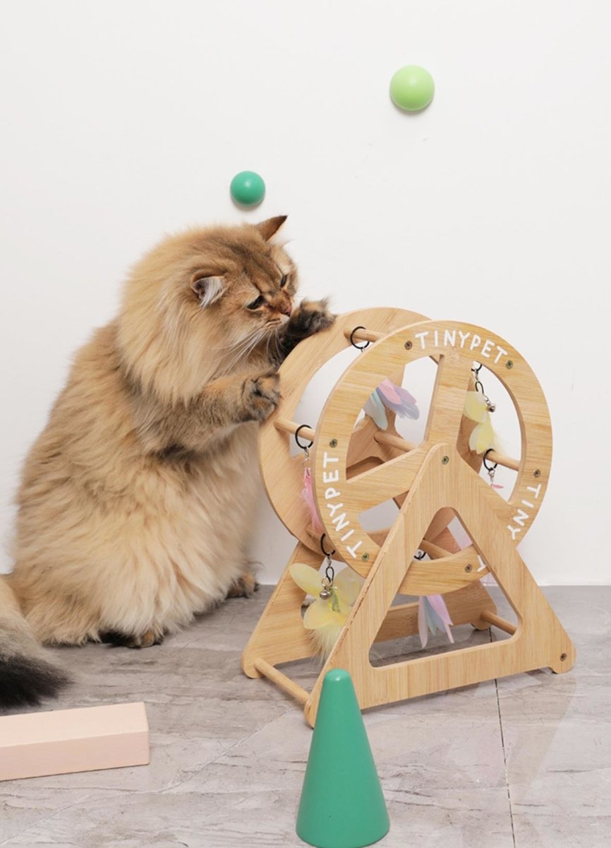 Wonder Wheel Cat Playing Toy - 0cm