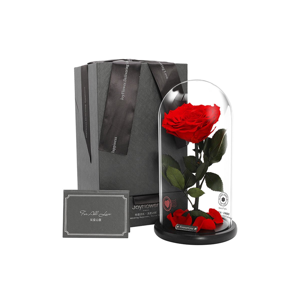 "You Are My One & Only For This Lifetime" Eternal Rose Flowers Gift   0cm