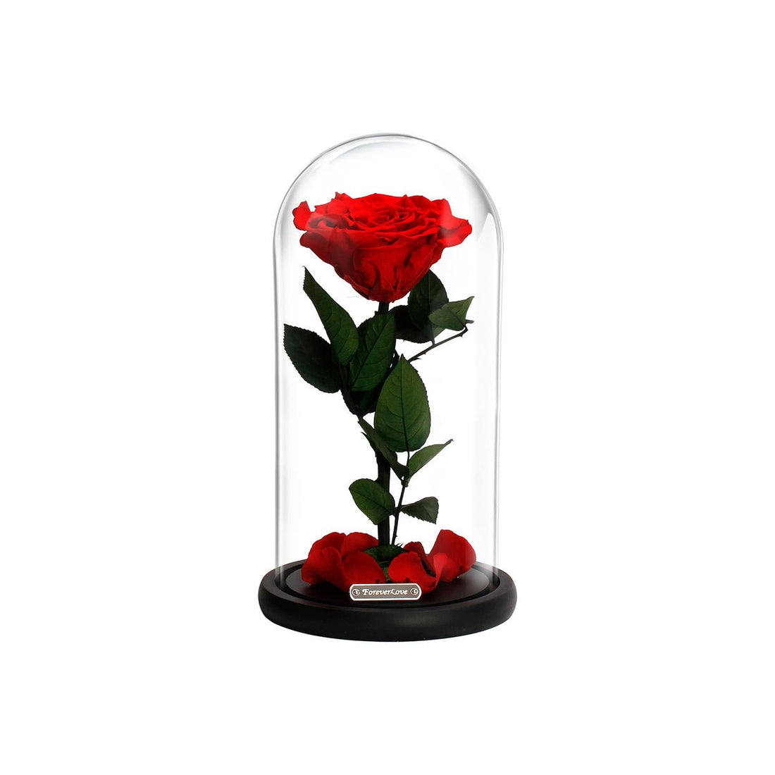 &quot;You Are My One &amp; Only For This Lifetime&quot; Eternal Rose Flowers Gift - 0cm