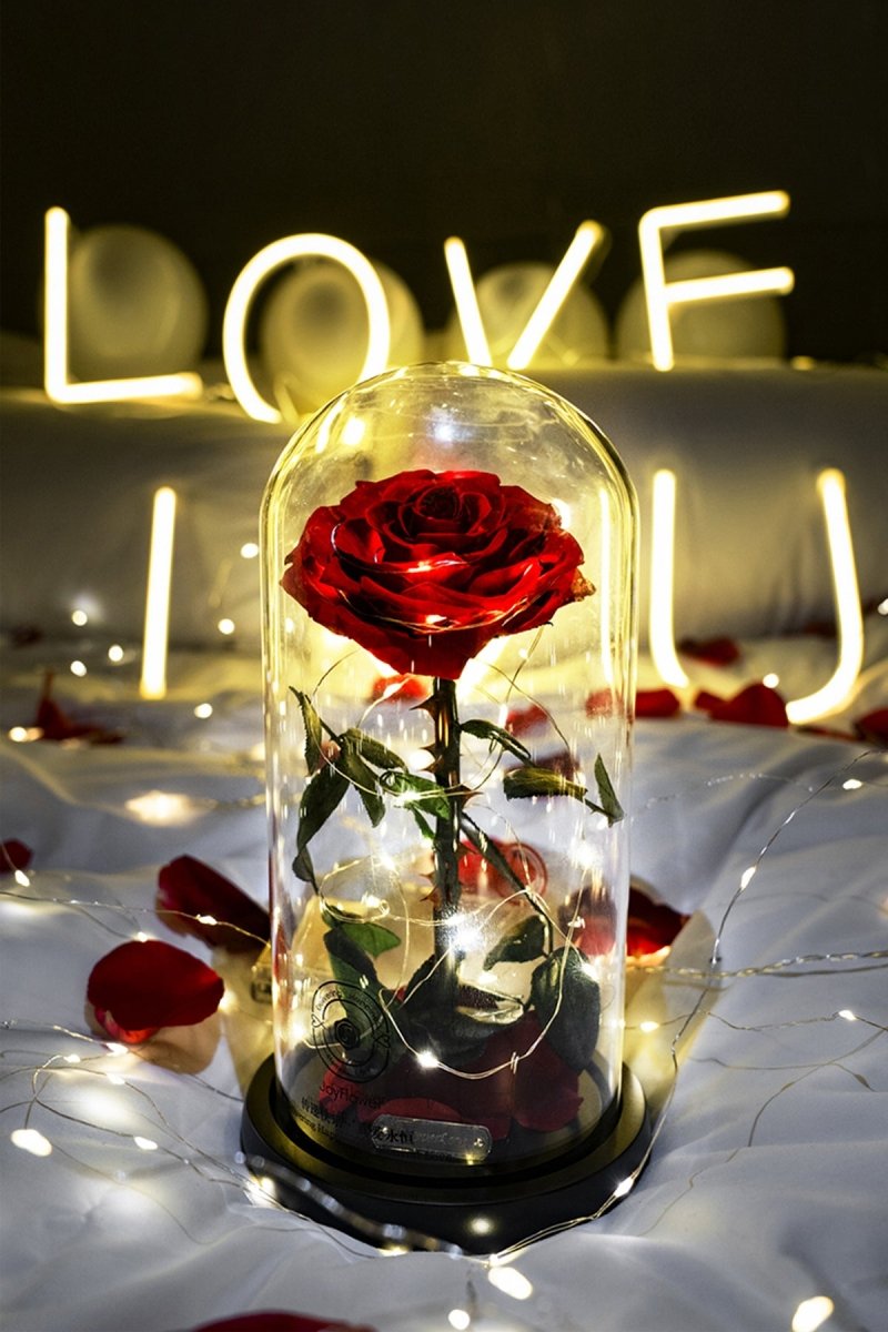 "You Are My One & Only For This Lifetime" Eternal Rose Flowers Gift   0cm